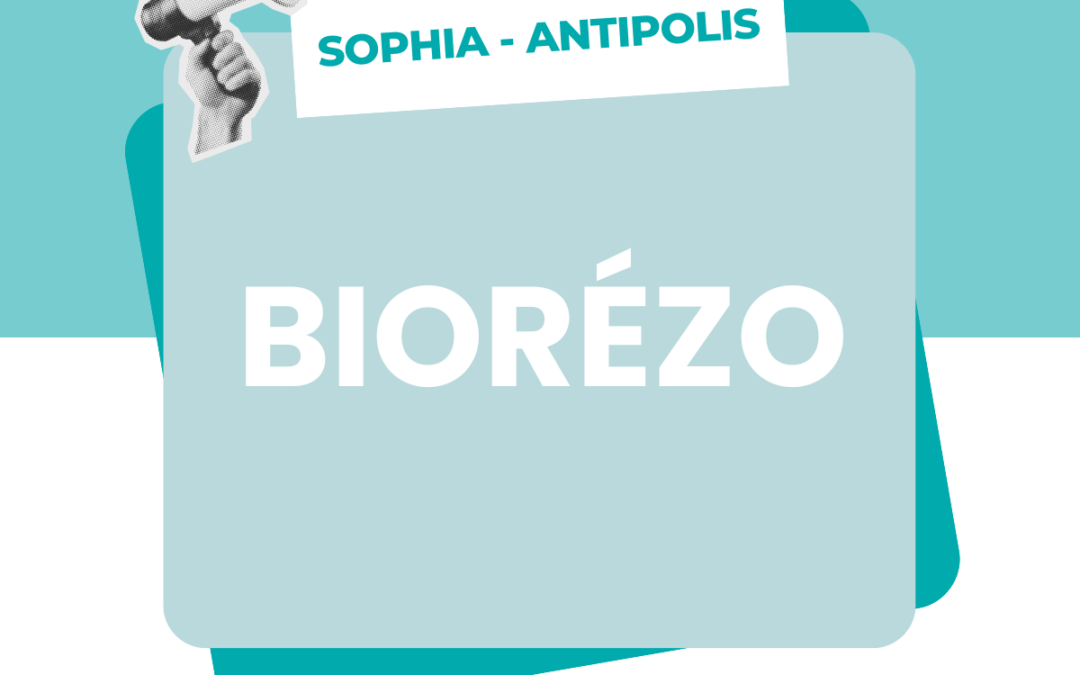 Diagnostic, aide à la décision, accompagnement des patients : découvrez de nouveaux outils intégrants l’IA