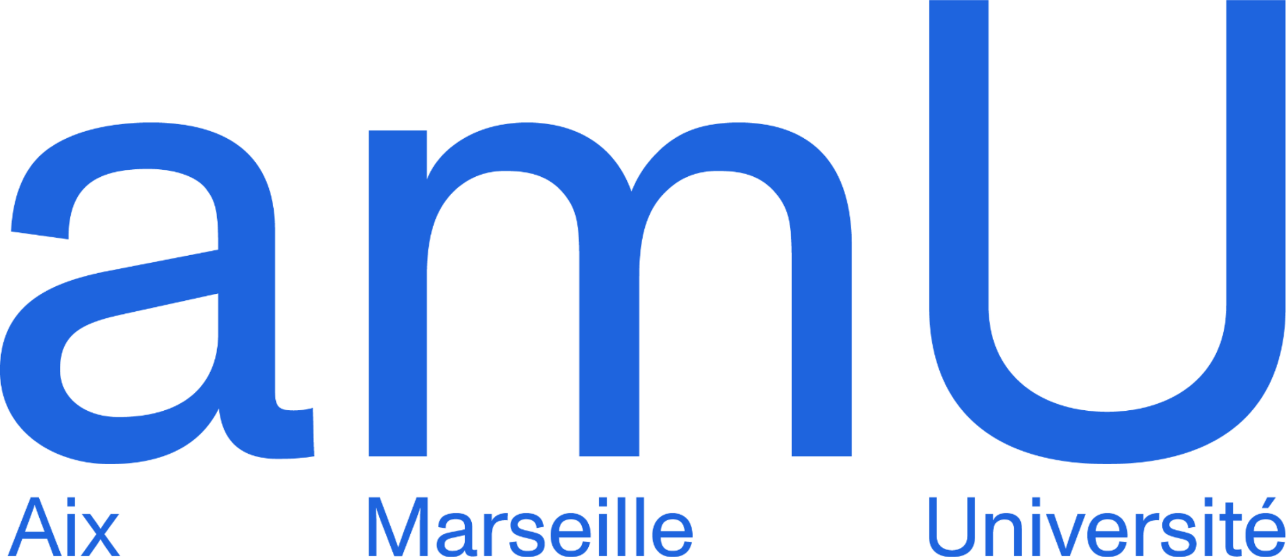 logo_AMU_bleu_RVB